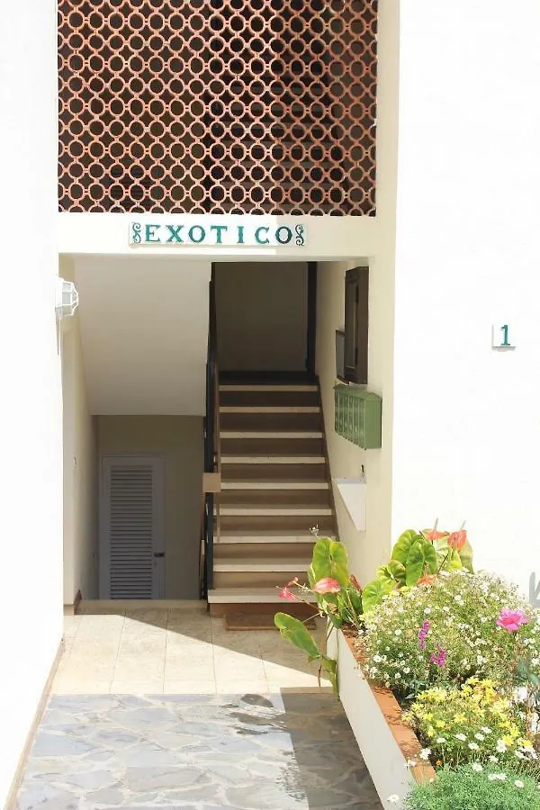 Holidaynorthtenerife Exotic Apartament Los Realejos 0*,