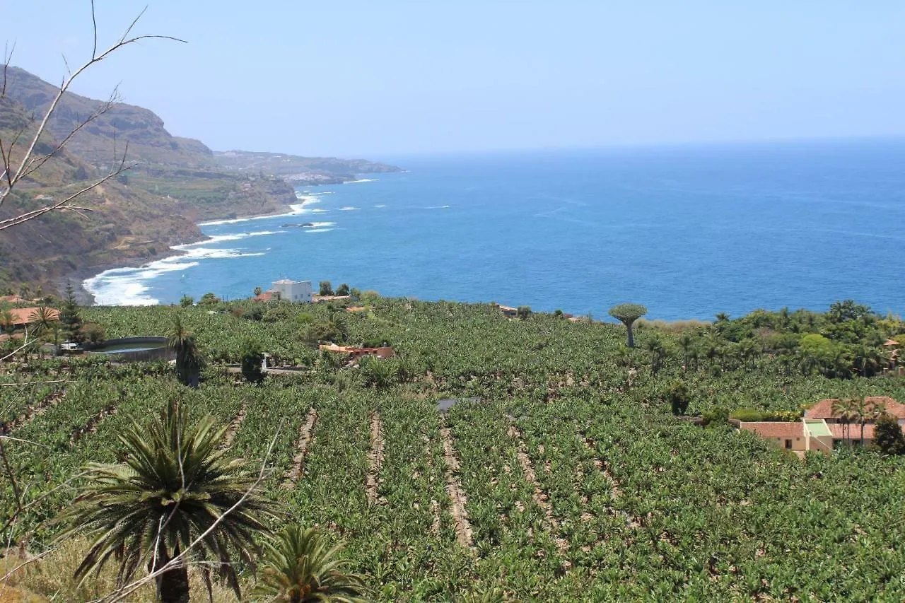 Holidaynorthtenerife Exotic Apartament Los Realejos Apartment