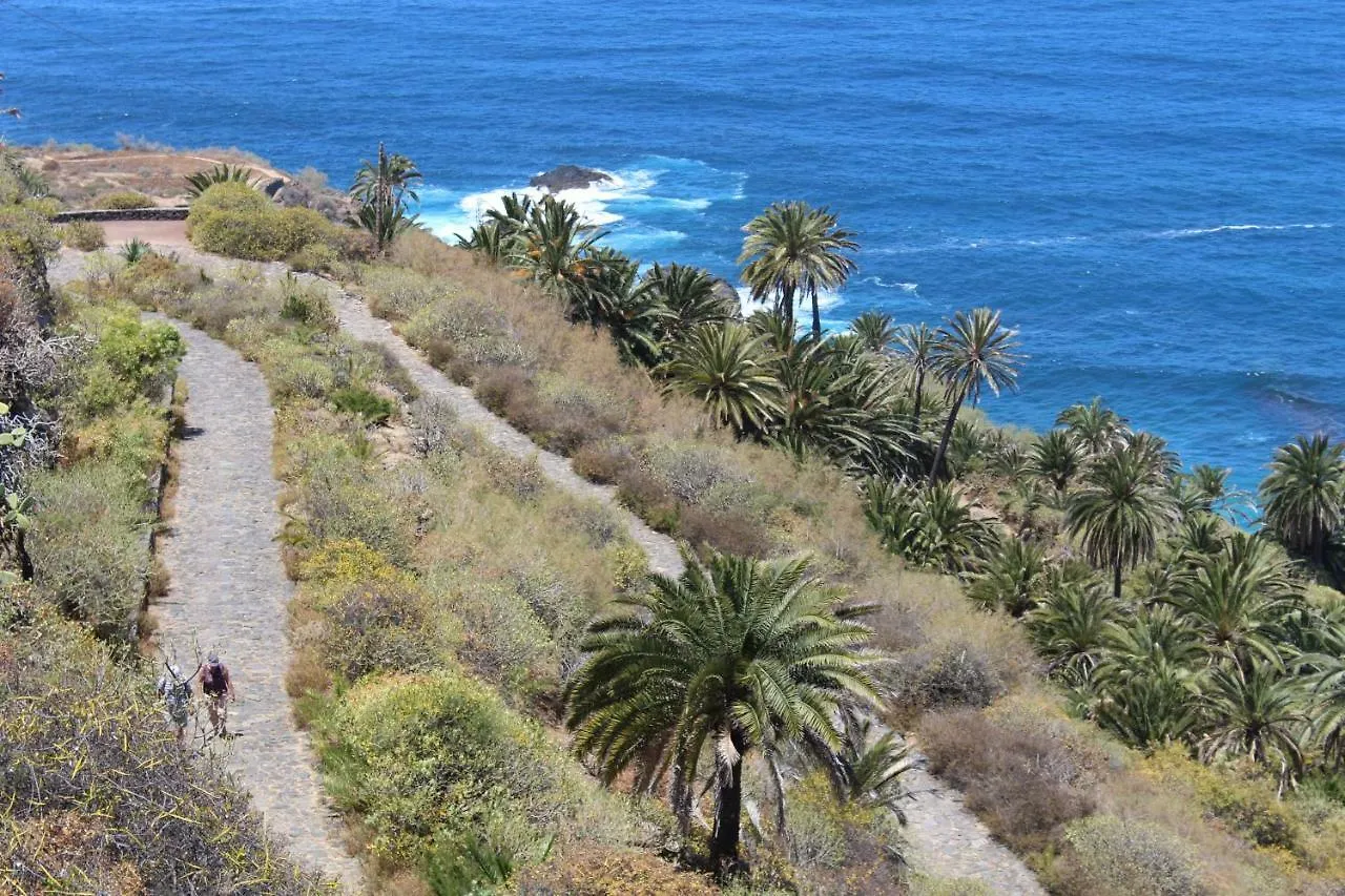 Holidaynorthtenerife Exotic Apartament Los Realejos Apartment
